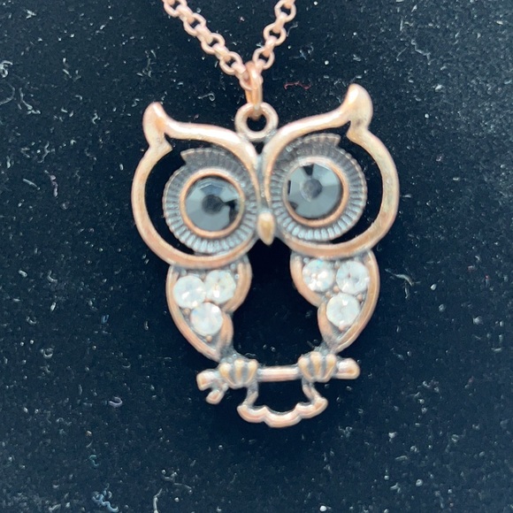 Owl Necklace & Snap Bar Closure Bead Earrings - Picture 5 of 14